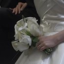 셀리에 | " 셀리에 스냅 "계약 후기｜본식 서브스냅(아이폰 스냅) 고민 끝, 선택한 이유