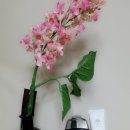 트루오더 이미지