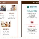 숲속의 아침 이미지