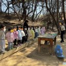 후평숲속유치원 이미지