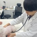 디딤동물병원 이미지