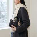 조이앤플레이 | 종결형결국 스몰이 정답? 디올 레이디 디조이 스몰 , 미니보다 손이 자주 가는 결정적 이유