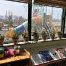 일죽초교병설유치원 이미지