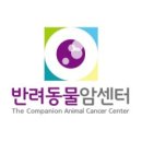 반려동물암센터