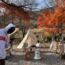 금손민박 이미지