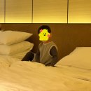 아이와 교토 추천호텔 리츠칼튼 카모가와뷰객실&amp;조식 후기