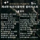 까치플랜츠