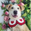 초일로20번길 이미지