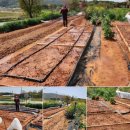 협동농장 이미지