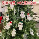 7280 | [대전 중구 은행동 ] 도마카포 에스프레소바