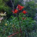 북산상회 이미지