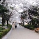 문정공원 화장실 이미지