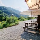 모더니컬 이미지