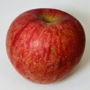 베스트스토어 | 과일쇼핑몰 이른아침 스토어 베스트 리뷰이벤트 당첨 후기