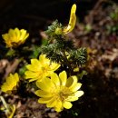 마중가는길 이미지