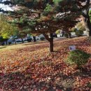 고양고등학교 이미지