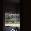 스테이 선명 이미지