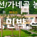 정선 펜션민박식당 가네골농원 후기,곤드레와 올갱이가 만나 입맛이 강원도 모드로 풀충전
