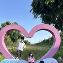 진안읍 석곡마을길 | 곡성석곡코스모스음악회 일정과 곡성현지인맛집을 소개합니다 :)