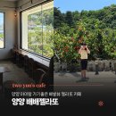 카페라또 - 은평구 진관3로 33 | 양양카페 배배젤라또, 배밭뷰에서 아이랑 즐긴 수제 젤라또 후기