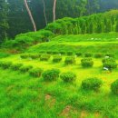 입동목장 이미지