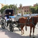 신전여성 이미지