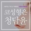 청담윤 이미지