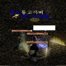 꿀꿀이 이미지