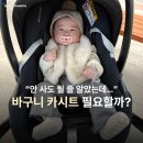 12바구니 | 맥시코시 카브리오픽스 바구니 카시트 후기 | 신생아 카시트 꼭 필요할까?