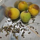 서기농장 이미지