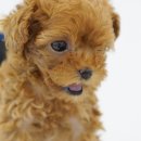 (주)아이토이 이미지