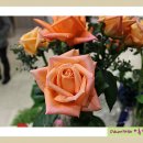 화훼장식(플로리스트) 이미지