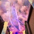 1753 | 인스파이어 리조트 호텔 투숙기 2편 ; 스플리쉬베이, 오로라 고래쇼 시간, 브라세리1753 브런치 후기