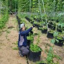 김진동농장 이미지