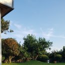 스테이비갠오후 이미지