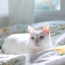 아이디랩 이미지