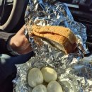 박삼수 | 2026년 4월 11-12 별거없지만 재밌었던 고흥여수여행