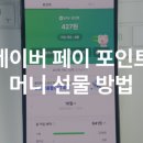 에스텔리트 이미지