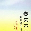 한선제 티스토리