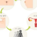 우리키센타