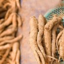 강원농장 이미지