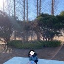 서산 삼원레져타운 캠핑장 l 동계캠핑 후기