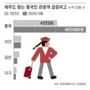 불법인데… 제주도 “중국인 렌터카 운전 허용해달라” 이미지