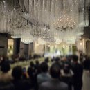 그랜드가든 | 울산 W시티컨벤션 그랜드홀 하우스가든홀 홀투어 후기 견적 공유