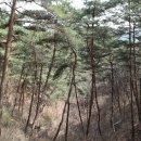 송청주유소