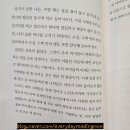 백미정