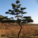 지리산농장 이미지