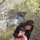 영선농장 이미지