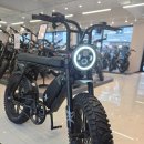 스톰맥스 | 엑스라이더 X100 맥스 자토바이 부산 경남 전기자전거 전동핫플 금정점 방문후기