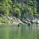 봉화남성 이미지